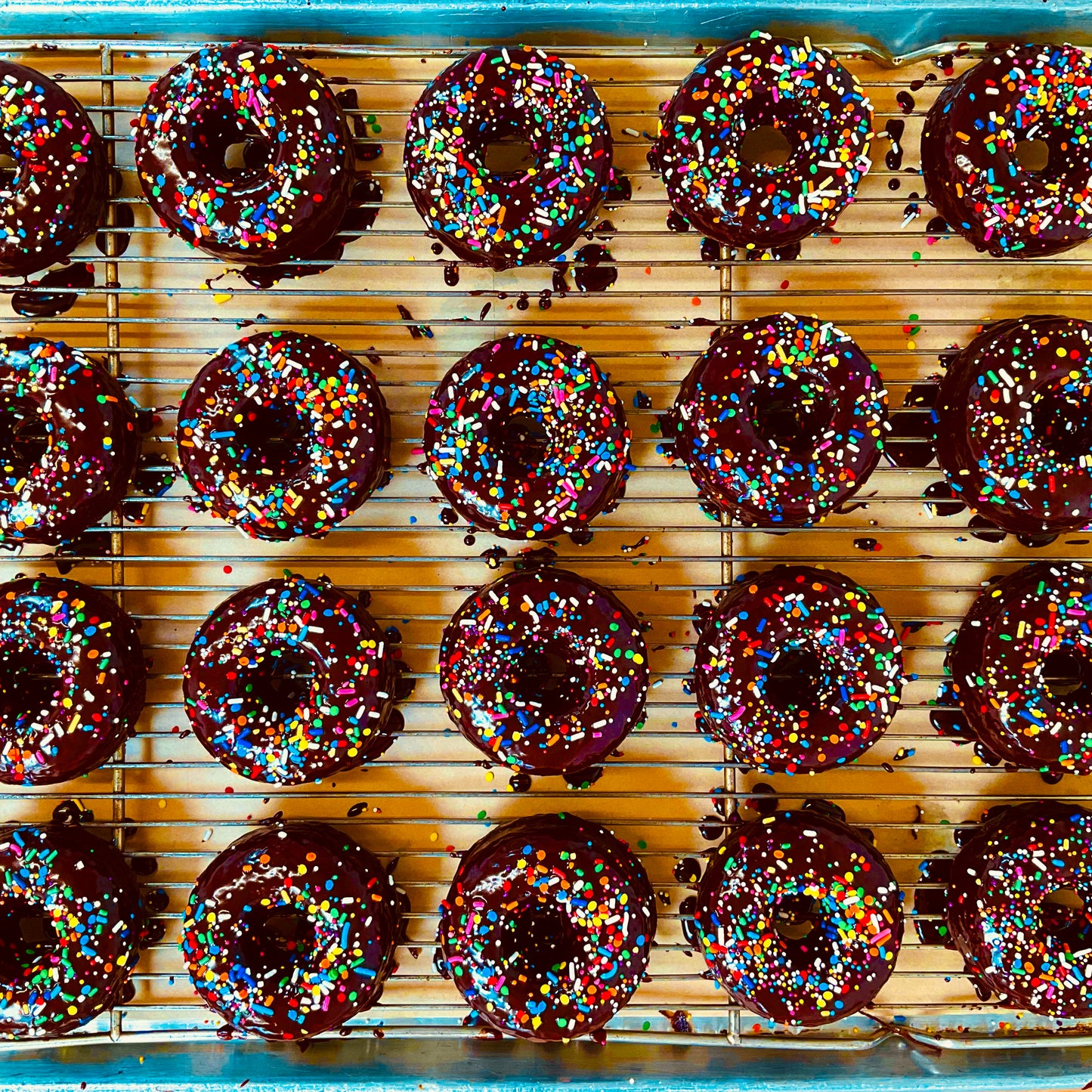 Chocolate Donuts - 4pk