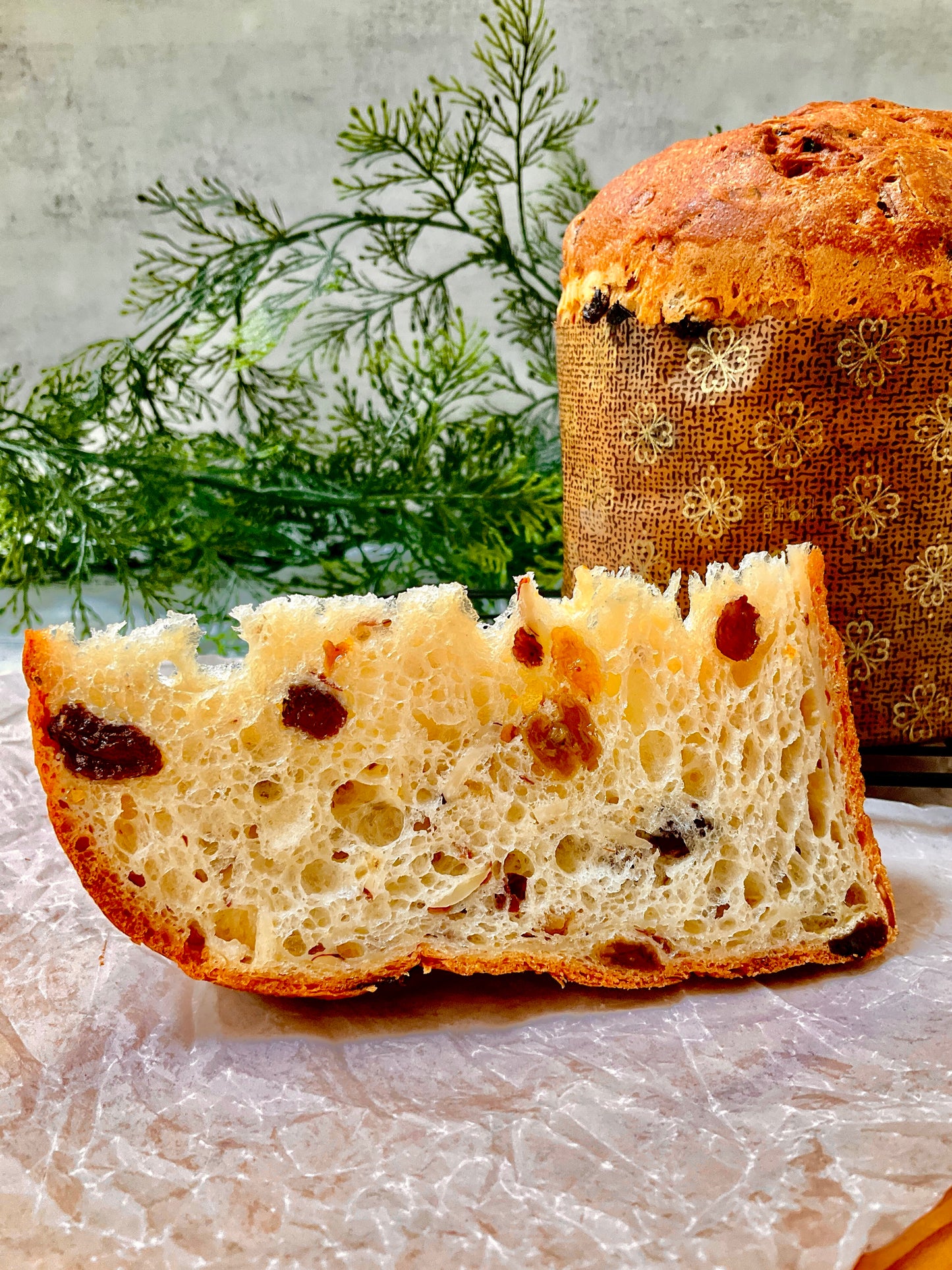 Panettone