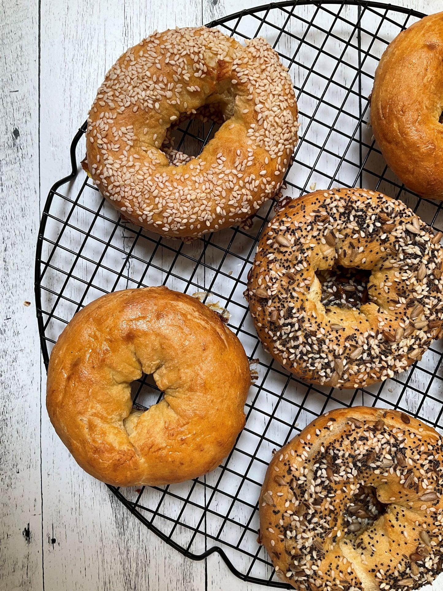 New & Improved Plain Bagels