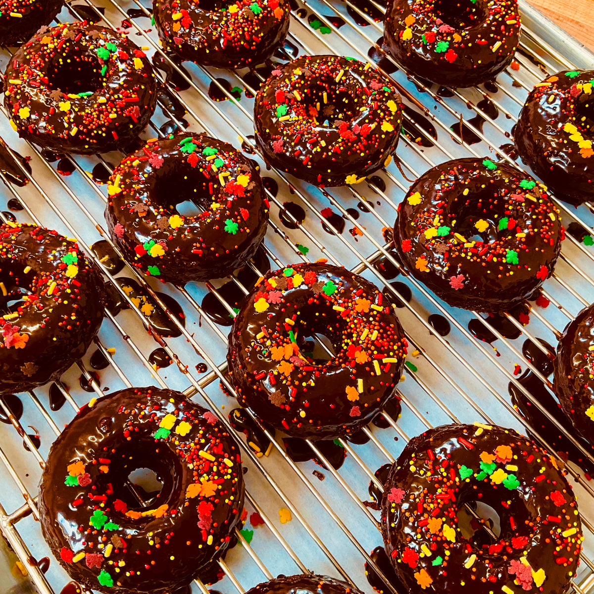 Chocolate Donuts - 4pk