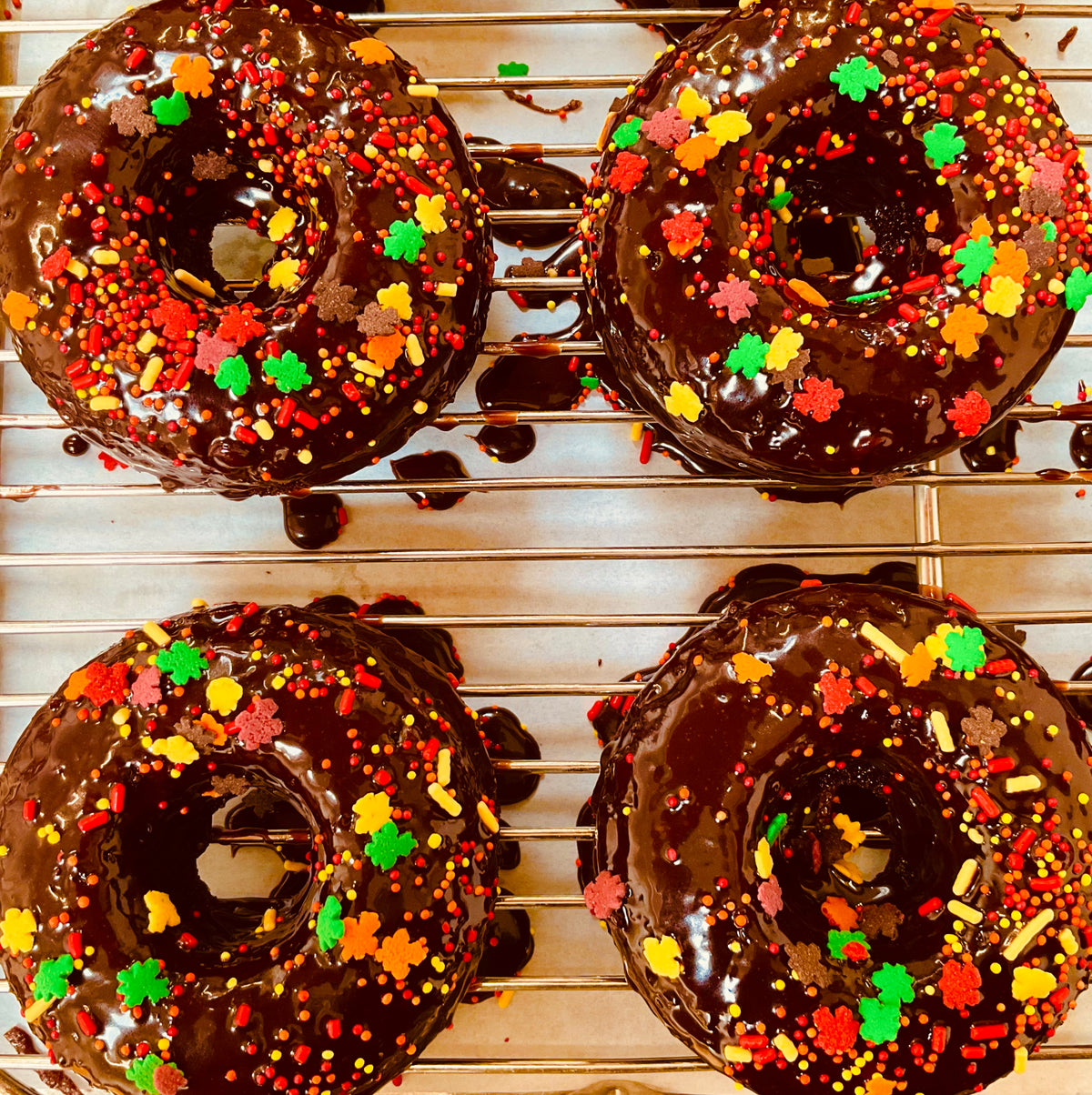Chocolate Donuts - 4pk